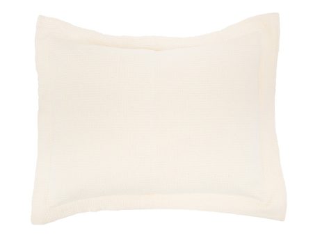 Delfina Standard Sham For Sale