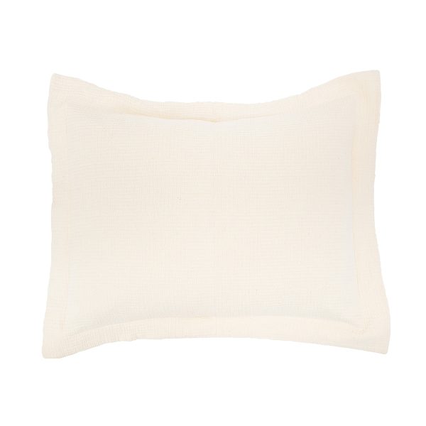 Delfina Standard Sham For Sale