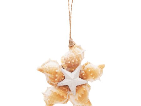 Sea Star & Shells Star Ornament Discount