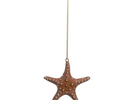 Tan Sea Star Ornament For Cheap