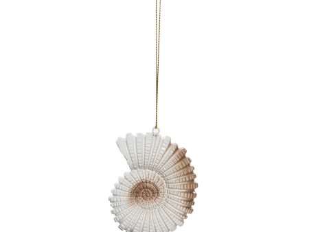 Tan Snail Shell Ornament Fashion