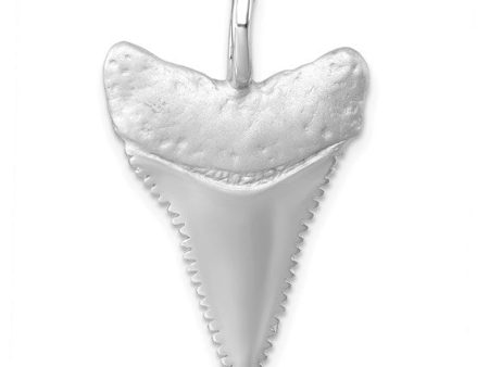 Sterling Silver Rhodium-Plated Great White Shark Tooth Pendant Hot on Sale